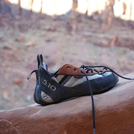 Les chaussures Bull Boxer pour femmes : confort et style